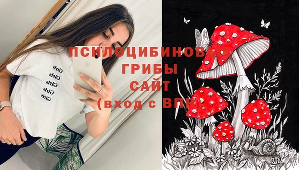 мяу мяу мука Алзамай