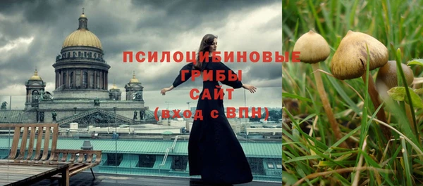 мет Абаза