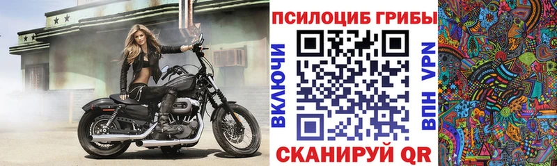 площадка формула  Саянск  Псилоцибиновые грибы Psilocybe  где купить наркоту  mega ССЫЛКА 